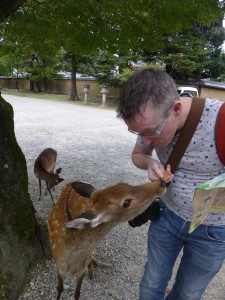 Oh, the horrible deer!