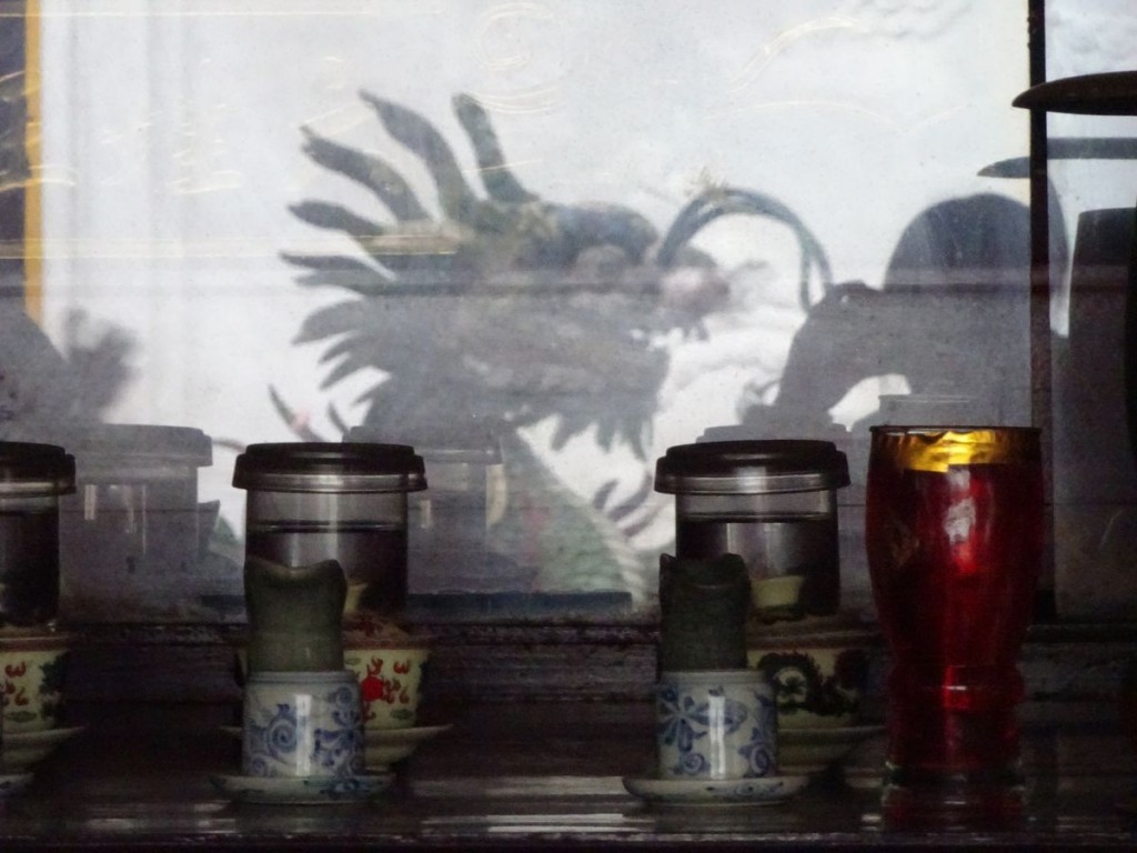 Dragon reflection