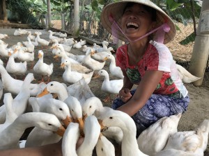 Duck can be ticklish
