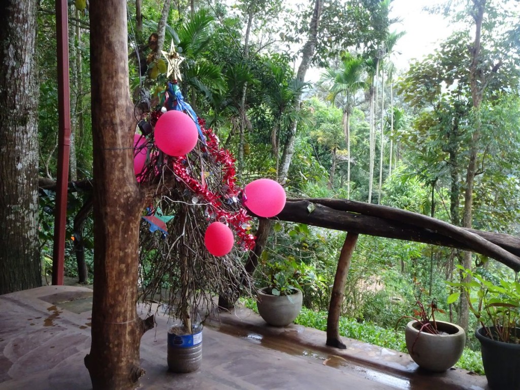 Christmassy at Spice Lodge, Ella