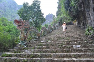 Starting the 500 steps