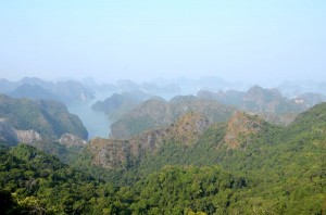 Ha Long Bay from above