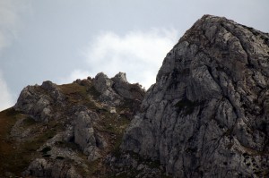 Ibex. It's right there, promise
