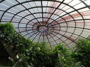Glasshouse roof