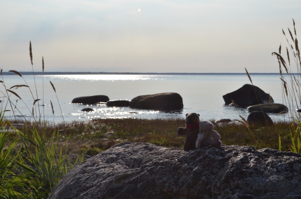 Laheema shoreline