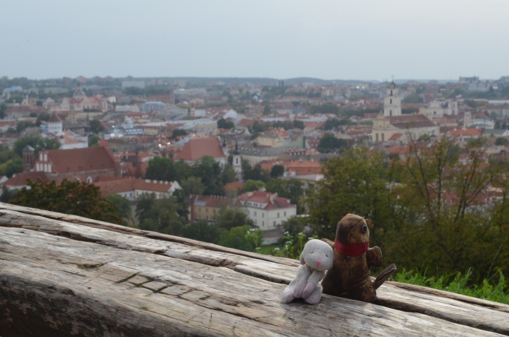 Vilnius view