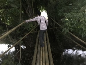 Bamboo bridge