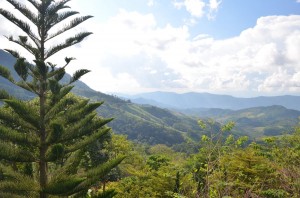The view from our Phufa Sawan resort