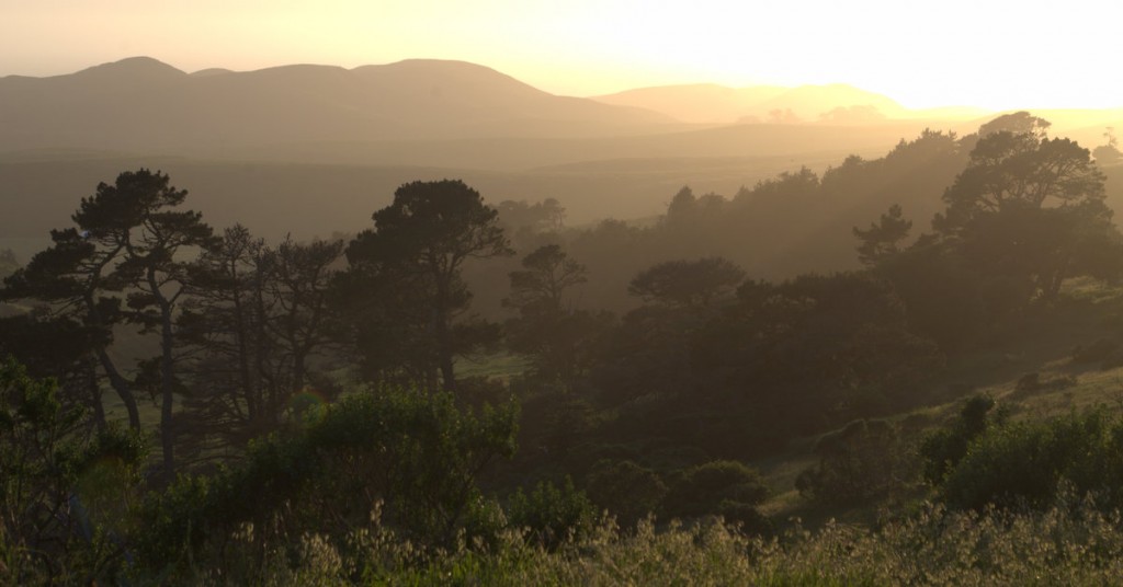 Point Reyes at dawn