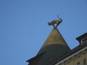 Cats