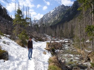 Snowy path