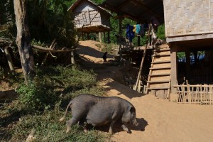 Visiting a village